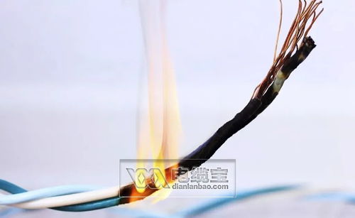 防火阻燃電纜市場(chǎng)未來(lái)四大走向 特種電纜成關(guān)鍵賽道
